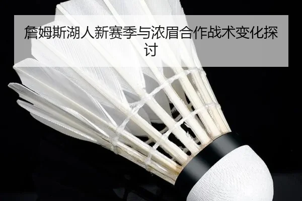 詹姆斯湖人新赛季与浓眉合作战术变化探讨
